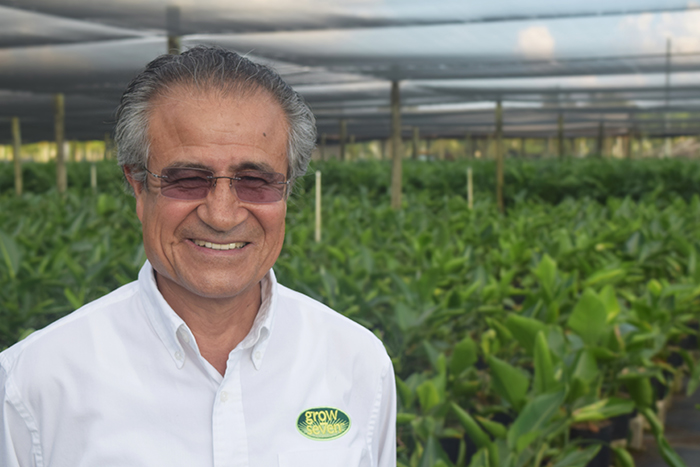 Jorge-Cepeda-grow-7-fundador-ceo