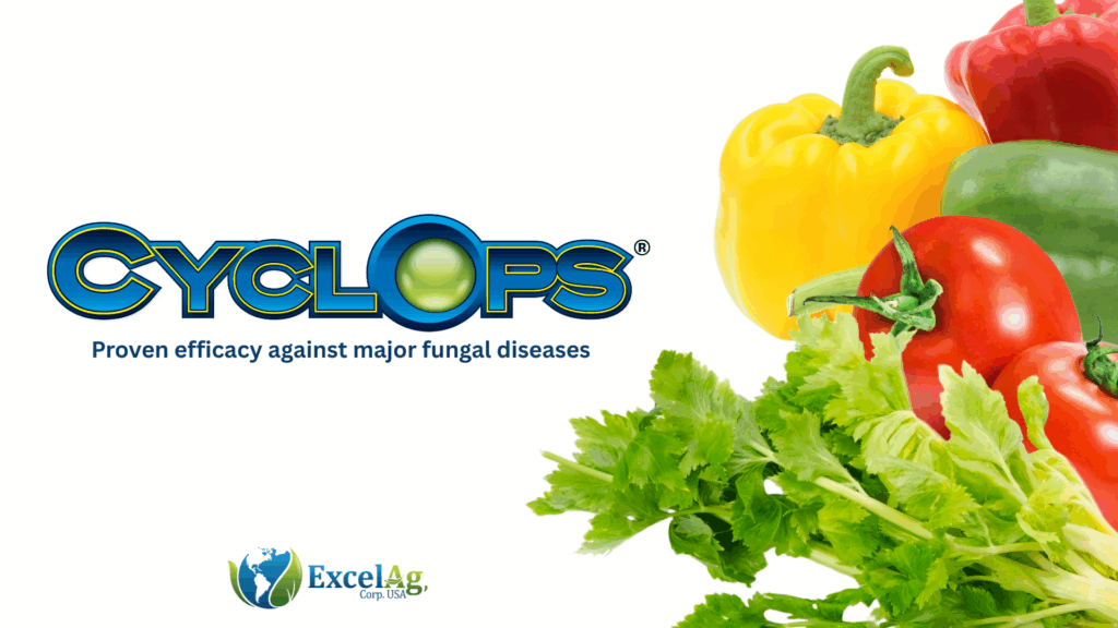 Evaluation of Cyclops Fungicide for the Control of Fungal Diseases in Vegetable Crops